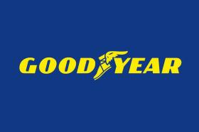 GOODYEAR NEUMATICOS